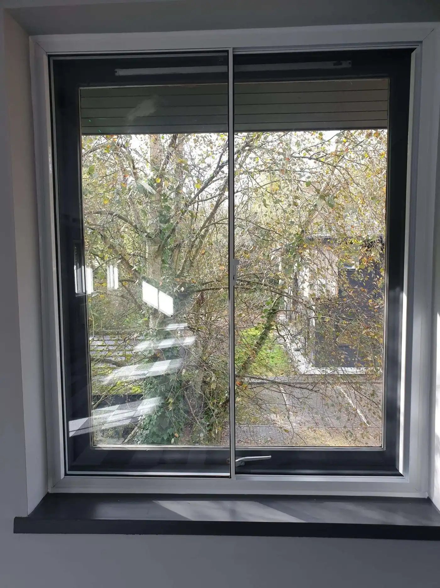 Secondary Glazing